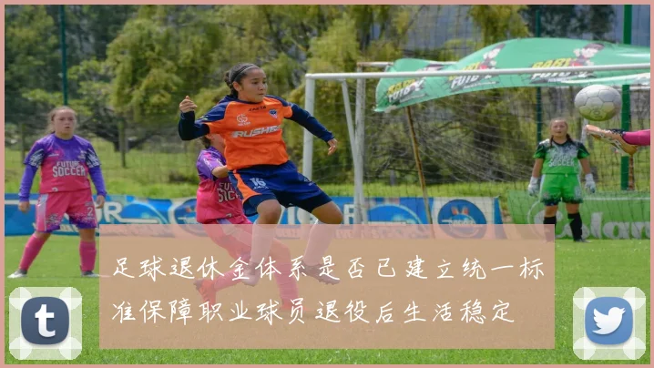 足球退休金体系是否已建立统一标准保障职业球员退役后生活稳定
